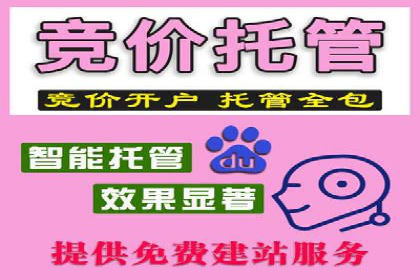 案例解析：SEM推广助力电商转化率提升